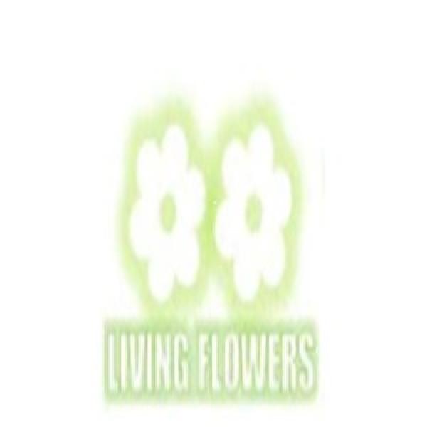 Avatar image for livingflowers