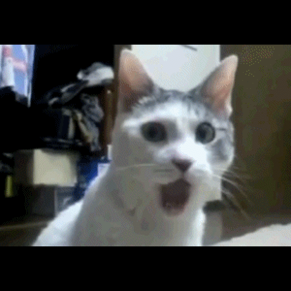 Avatar image for j0hnby