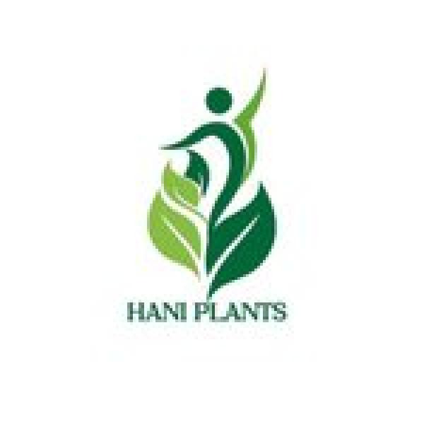 Avatar image for haniplants