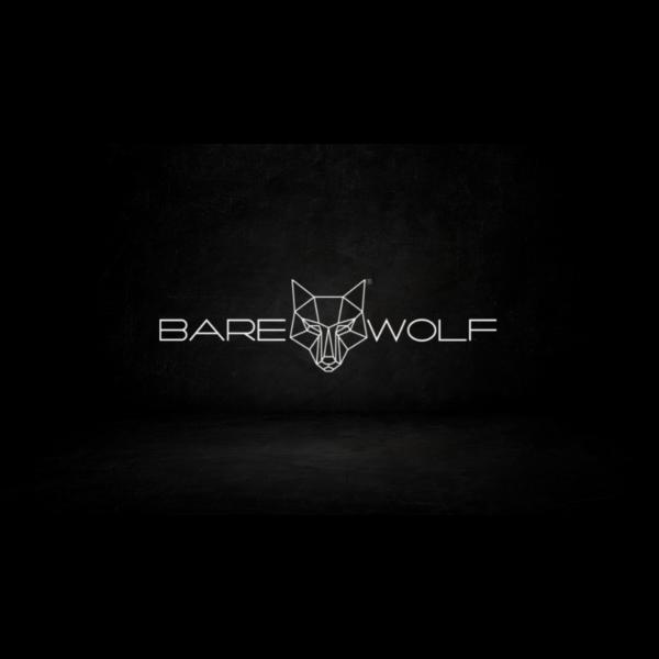 Avatar image for barewolf