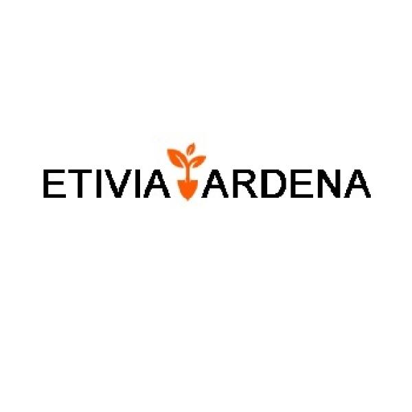 Avatar image for etiviayardena