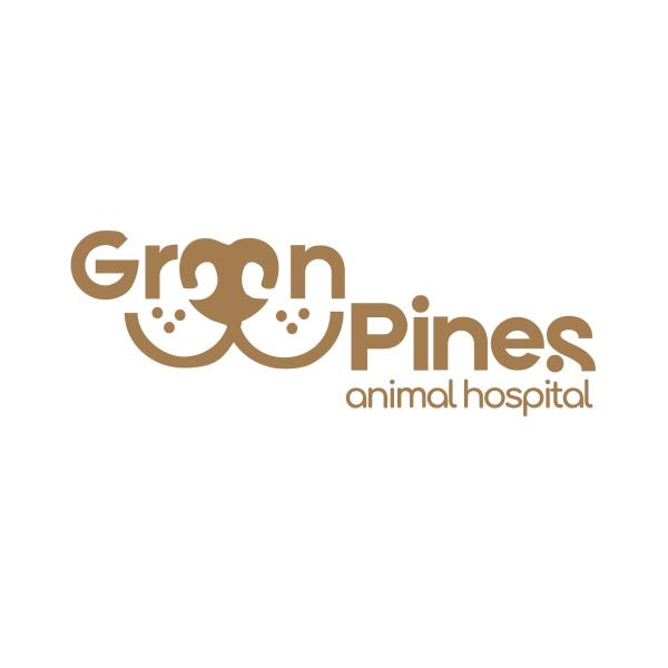 Avatar image for vetgreenpines