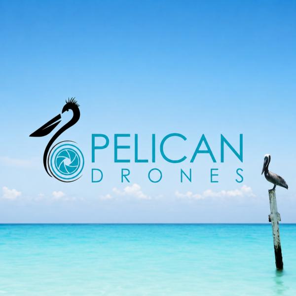 Avatar image for pelicandrones