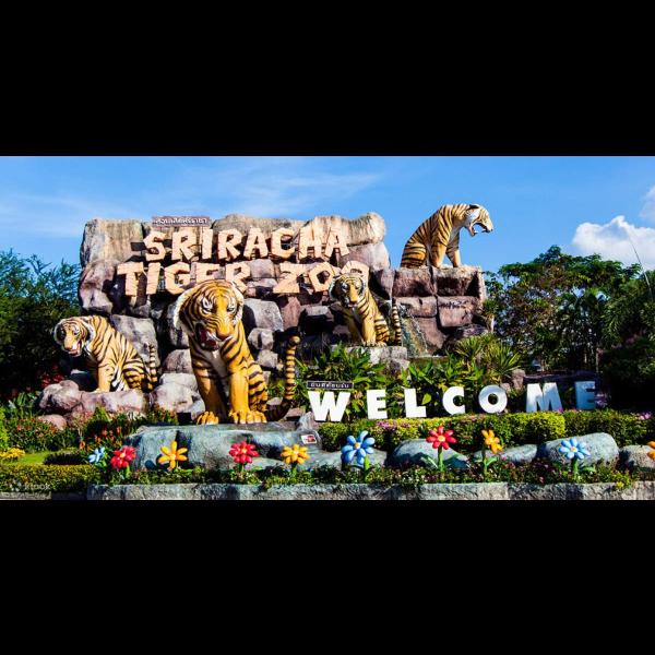 Avatar image for tigertopiasrirachazoo