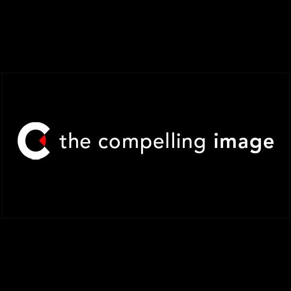 Avatar image for thecompellingimage