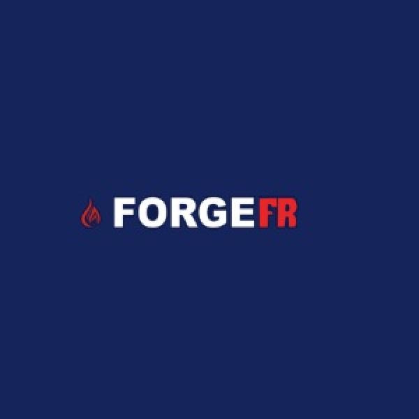 Avatar image for forgefr