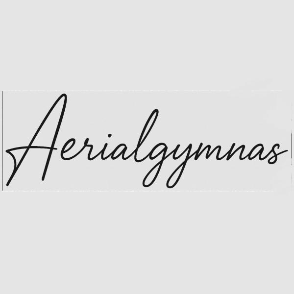 Avatar image for aerialgymnas