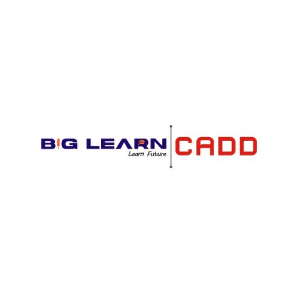 Avatar image for biglearncadd