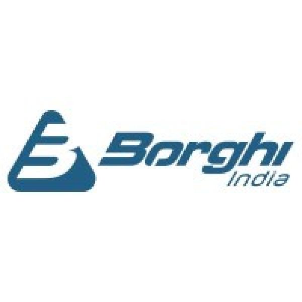 Avatar image for borghiindia