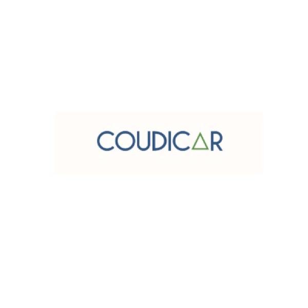 Avatar image for coudicar