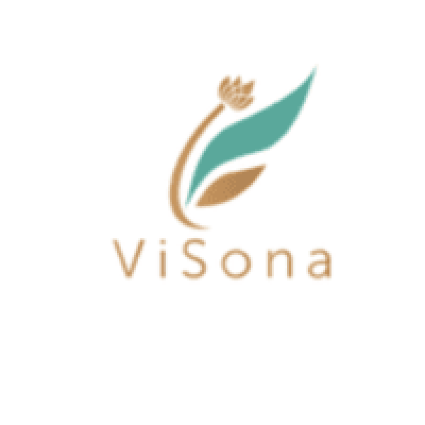 Avatar image for visonallc
