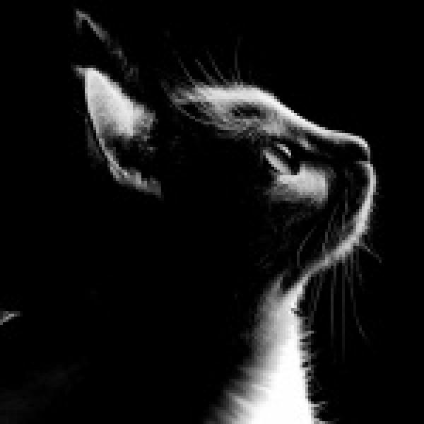 Avatar image for Paul_Carter