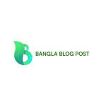Avatar image for banglablogpost