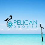 Avatar image for pelicandrones