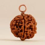 Avatar image for rudraksha