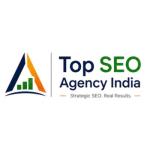 Avatar image for topseoagencyindia