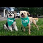 Avatar image for wagalongpetcare