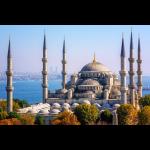 Avatar image for turkeyevisa