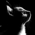 Avatar image for Paul_Carter