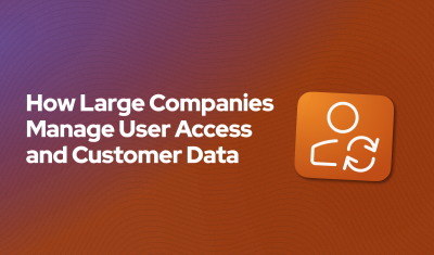 How Large Companies Manage User Access and Customer Data cover image