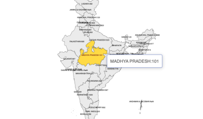 India Map Custom Widget cover image