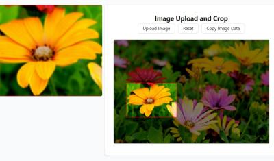 Upload and Crop cover image