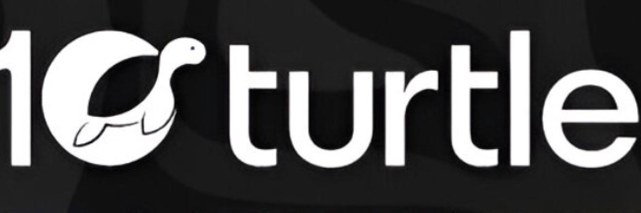 Cover image for 10turtle