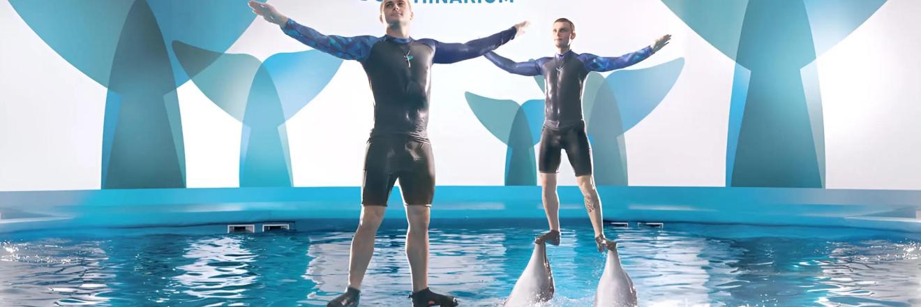 Cover image for dolphinshowpattaya