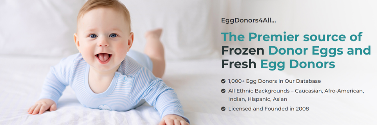Cover image for Eggdonors4all