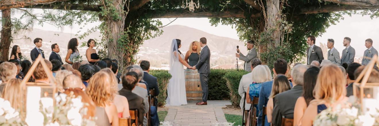 Cover image for American Portra-Weddings and Events