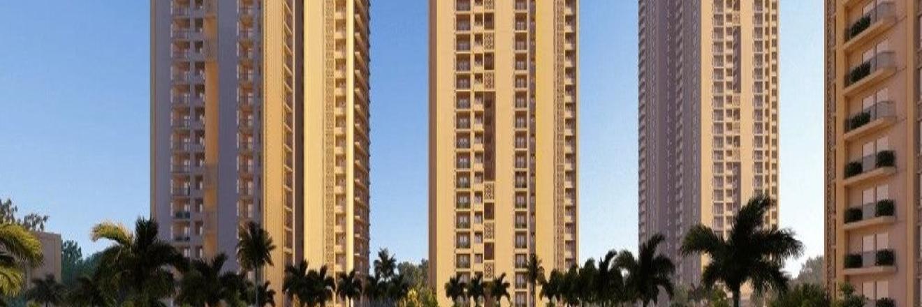 Cover image for aurosapphireflats