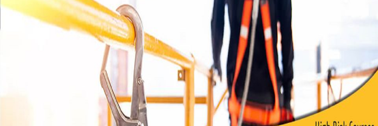 Cover image for kangarootraining