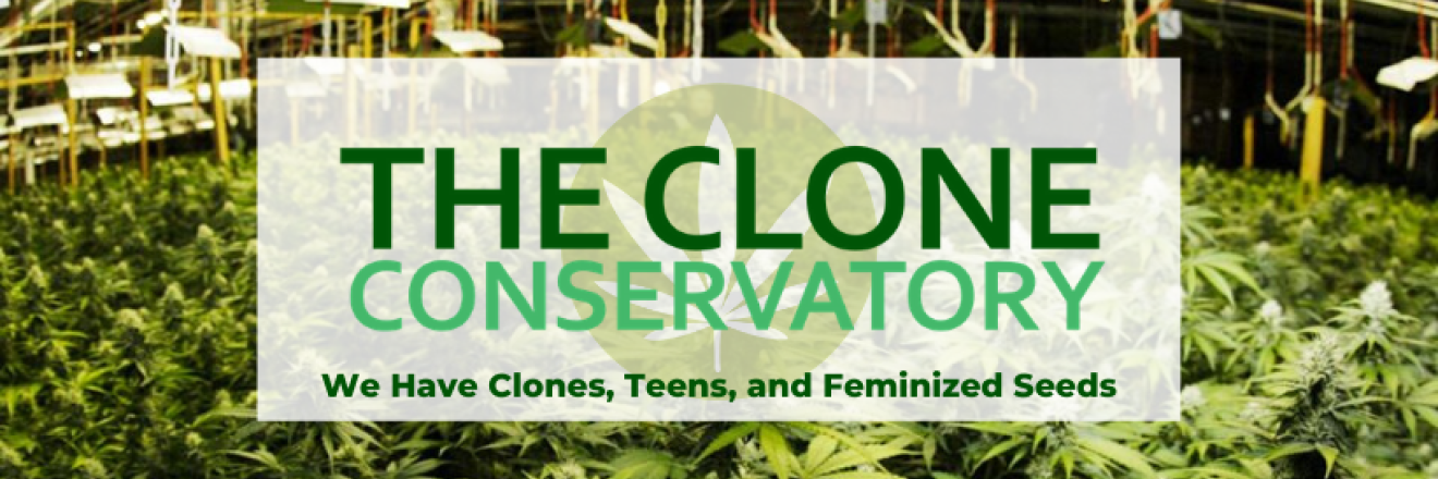 Cover image for cloneconservatory