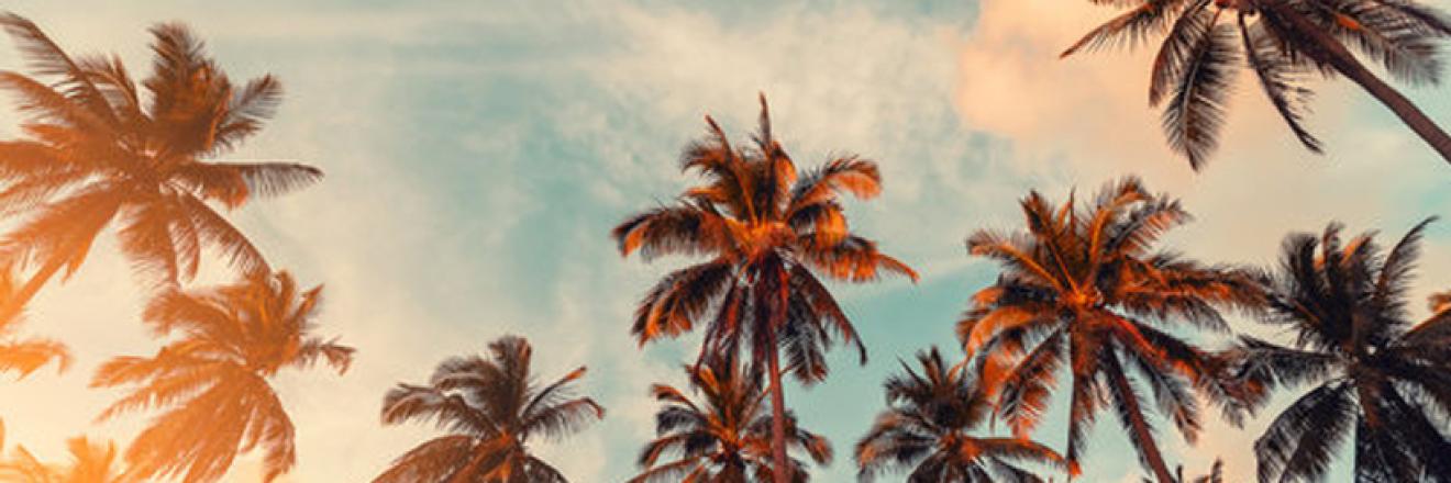 Cover image for roseginny