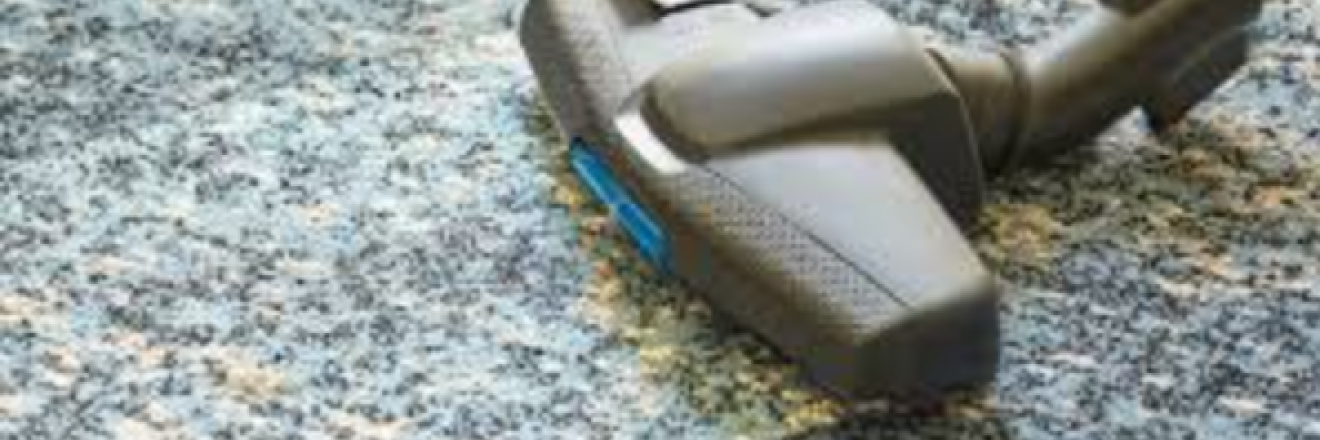 Cover image for dinno'scarpetcleaning