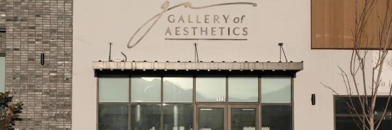 Cover image for galleryofaesthetics