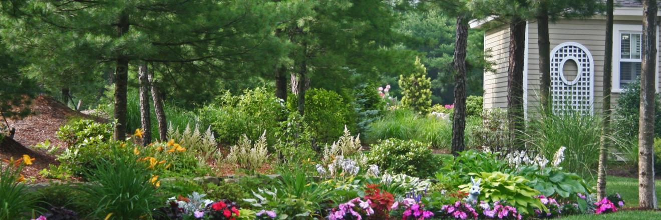 Cover image for jalendraxon