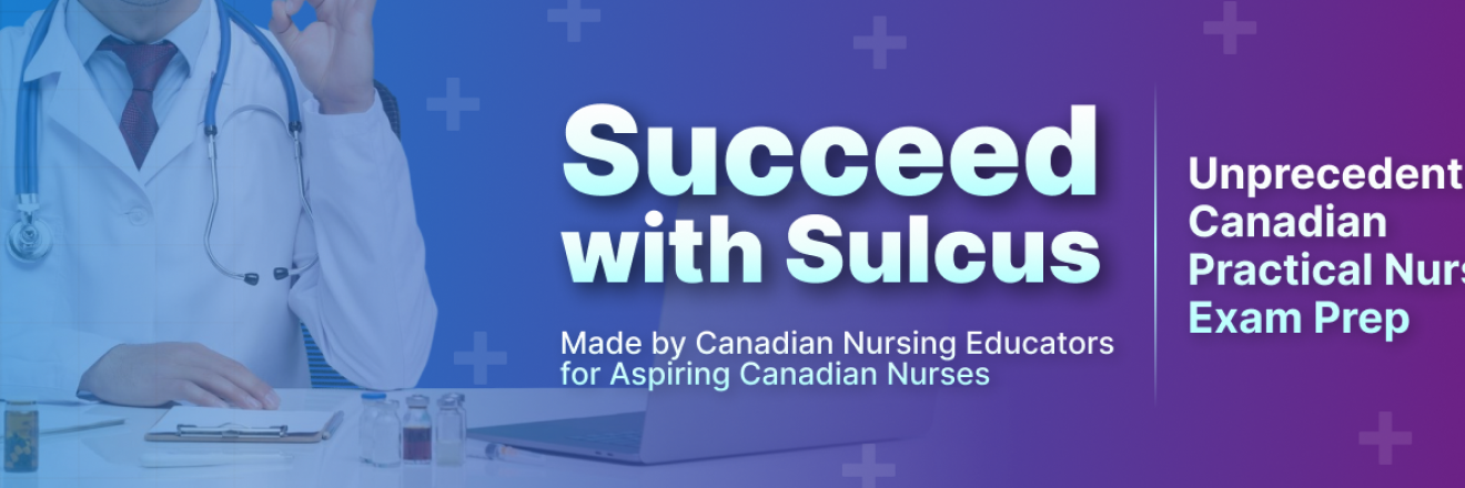 Cover image for sulcuslearning