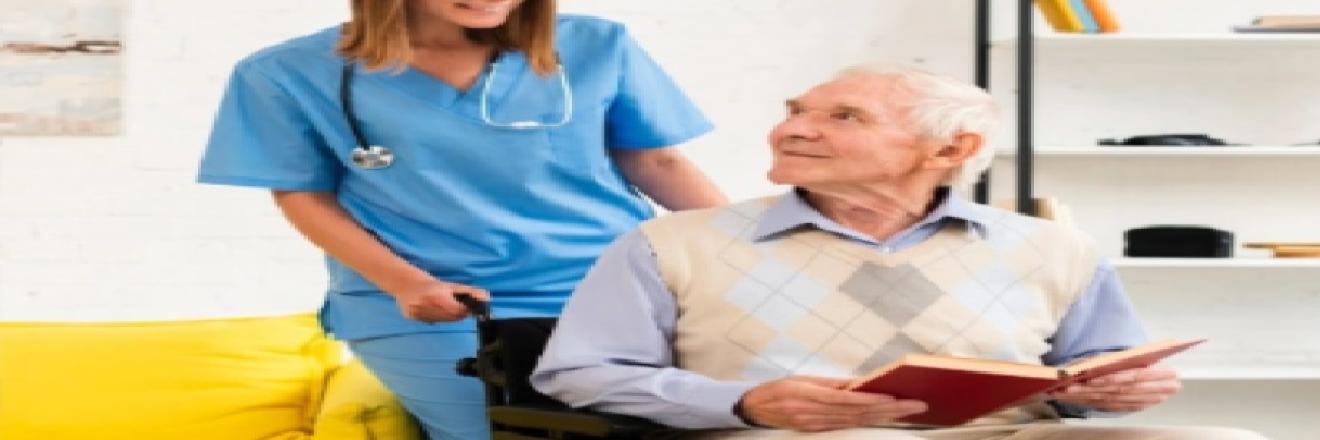 Cover image for primehealers