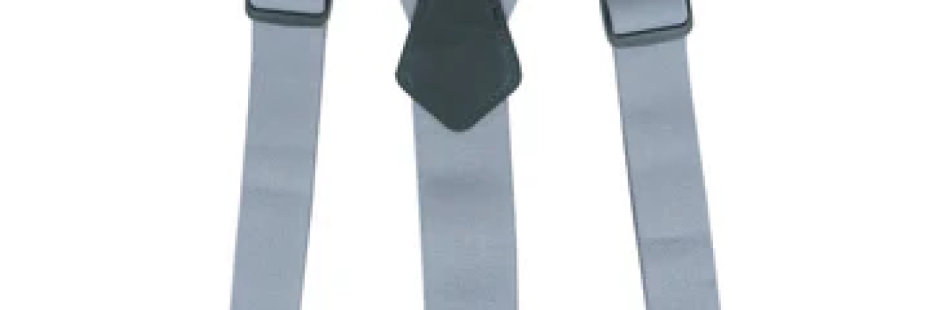 Cover image for frishaycom