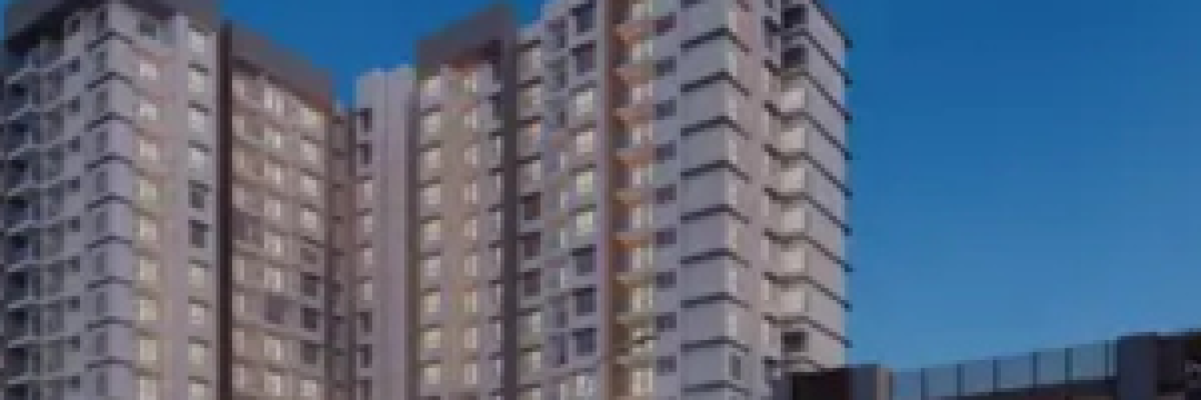 Cover image for purvanorthernlights1