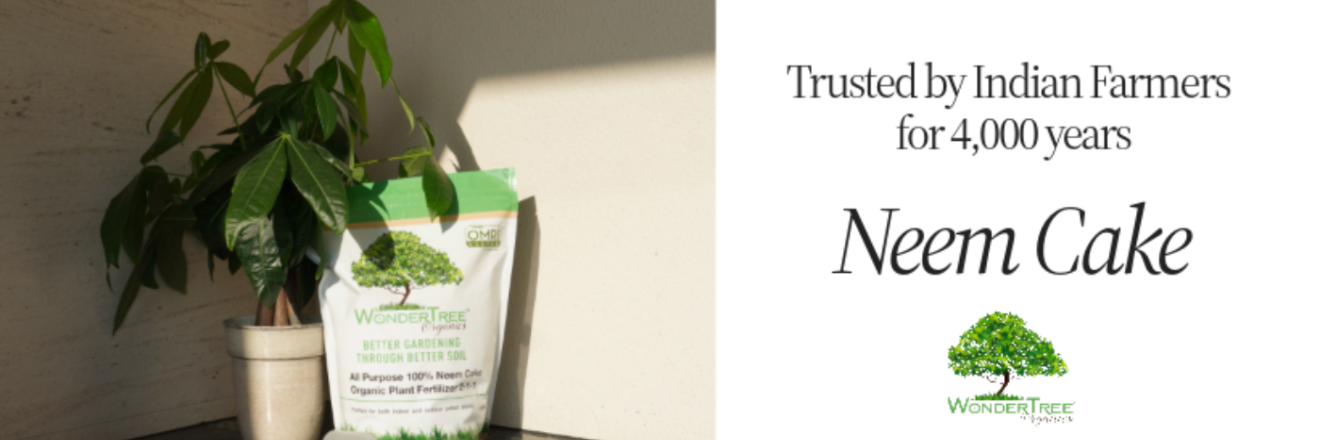 Cover image for wondertreeorganics