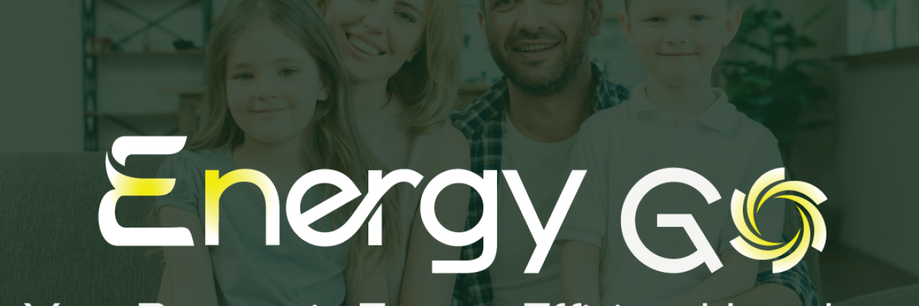 Cover image for energygo