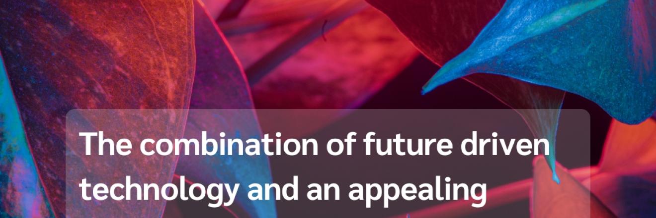 Cover image for triffiditmarkettingagency