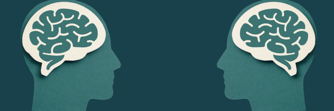 Cover image for wondertree