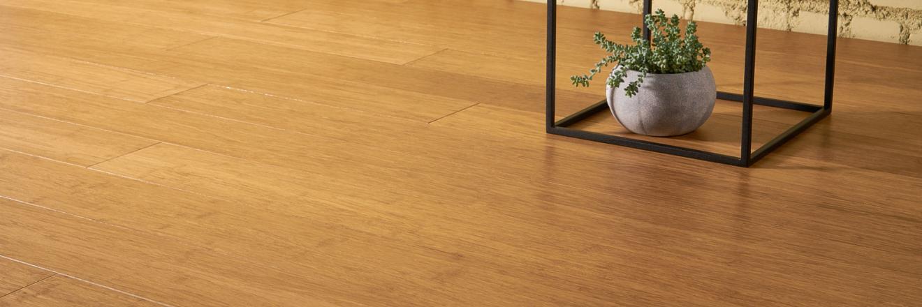 Cover image for bothbest