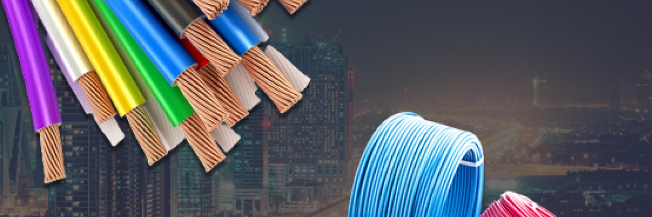 Cover image for paraflexwires