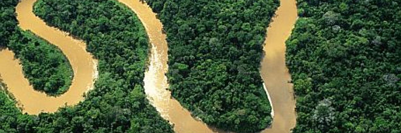 Cover image for elinaldoBrasillis