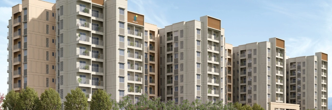 Cover image for brigadelumina