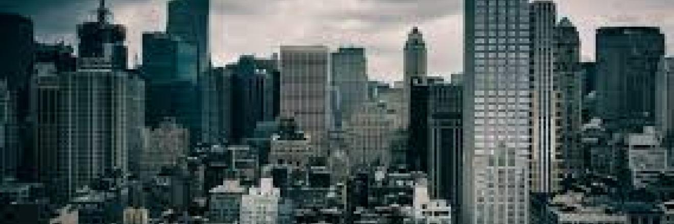 Cover image for arvindskycrest